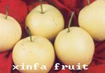 ƹ,ʹ